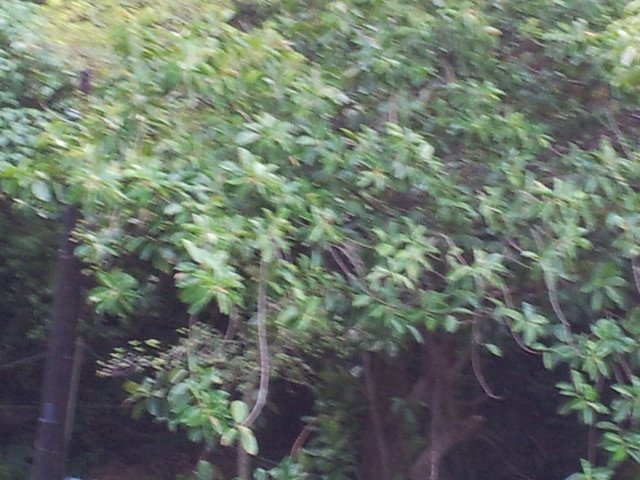20140930_064031