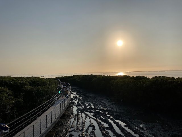 彰化芳苑濕地紅樹林海空步道