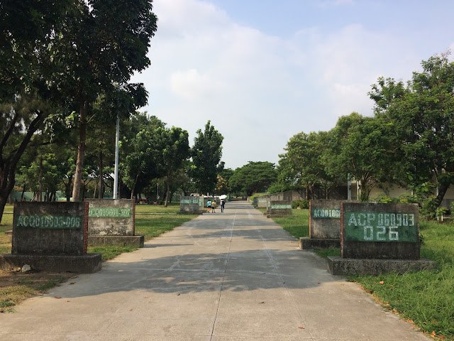 衛武營都會公園