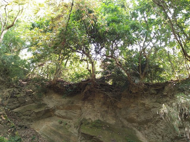 新田登山步道