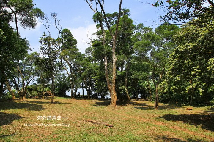 三通嶺這個名字很有氣勢，連這個山頂廣場也是朝氣滿滿