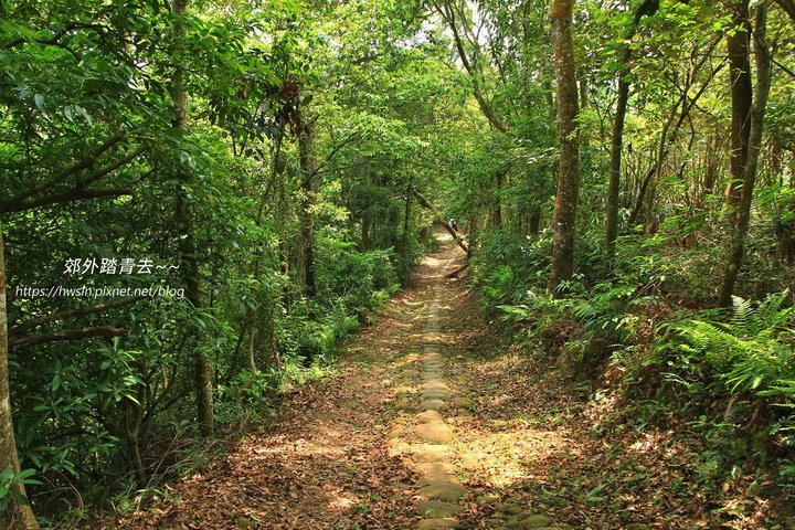 挑炭古道三義段