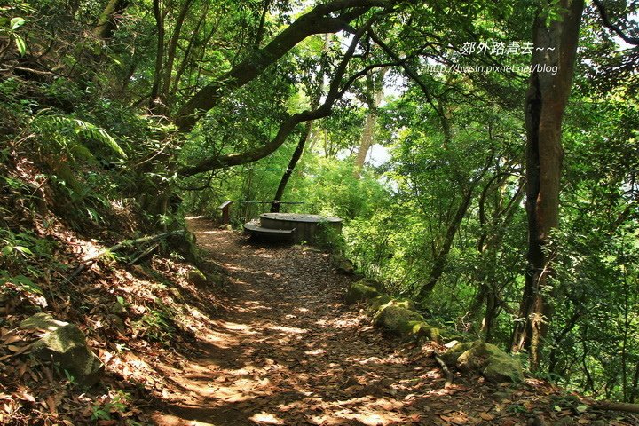 橫嶺古道綠蔭小徑