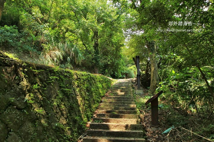 湖底路，快回到橫嶺古道入口了