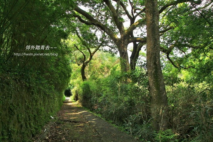 湖山國小步道