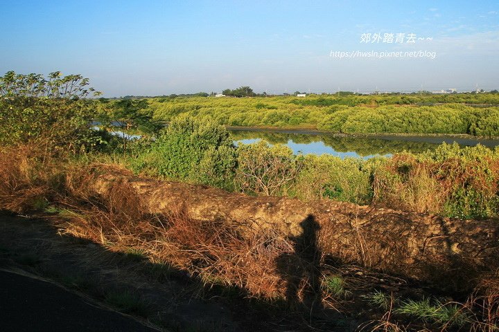20191210 048.jpg