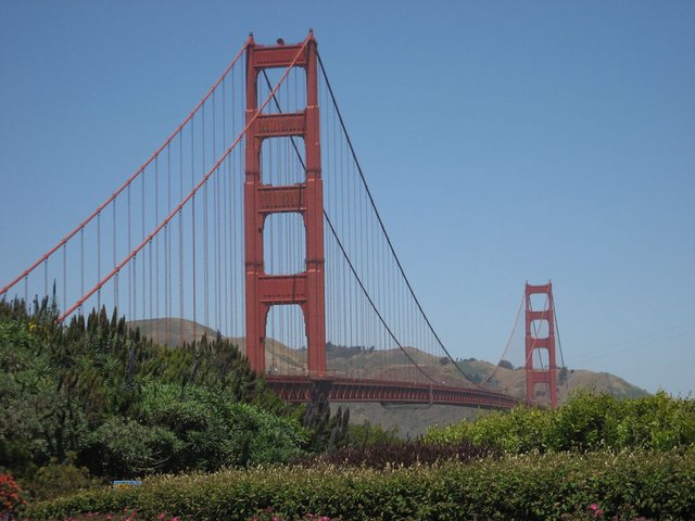 IMG_1677.JPG