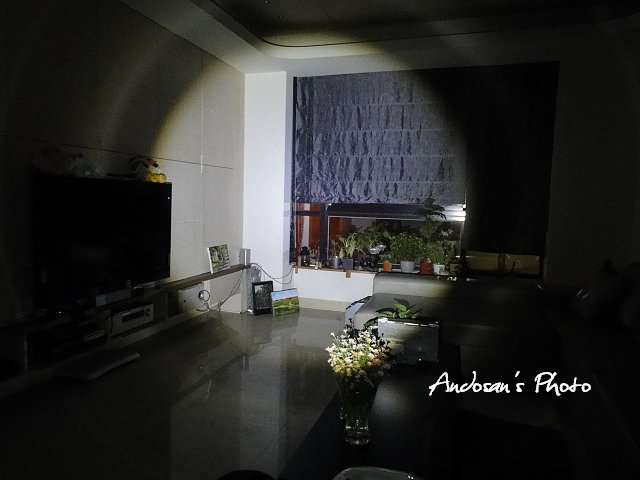 nEO_IMG_DSC03480.jpg