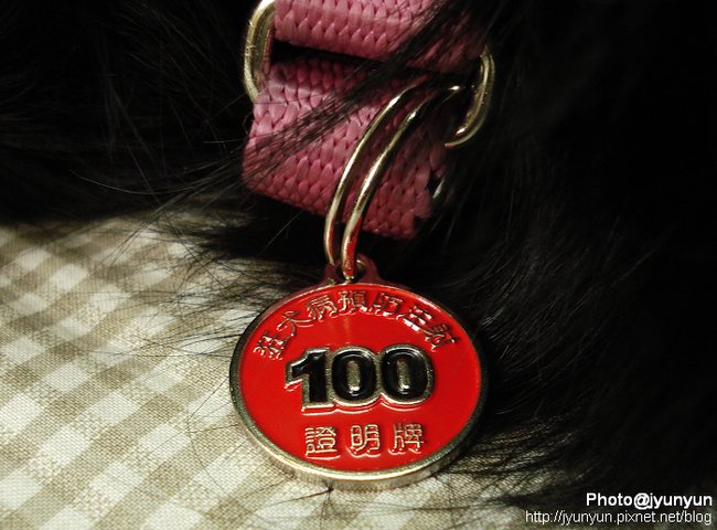 DSC00364.jpg