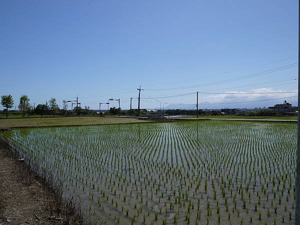 【美食】✔宜蘭•​​礁溪鄉•​蒔花咖啡​​​•​蒔美也食美