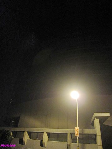 IMG_2949.jpg