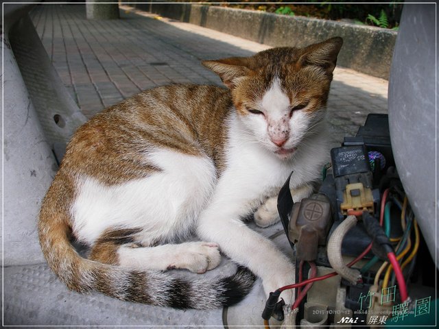 竹田車站