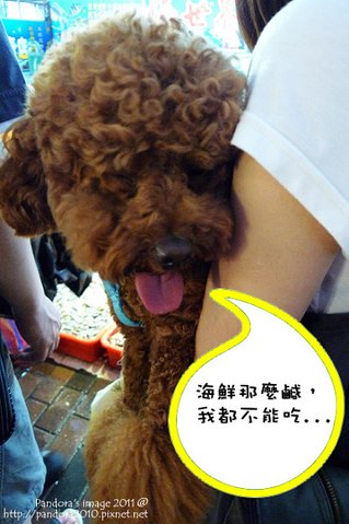 碧砂漁港-12.jpg