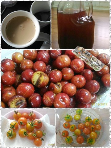 20190514-飲食.jpg