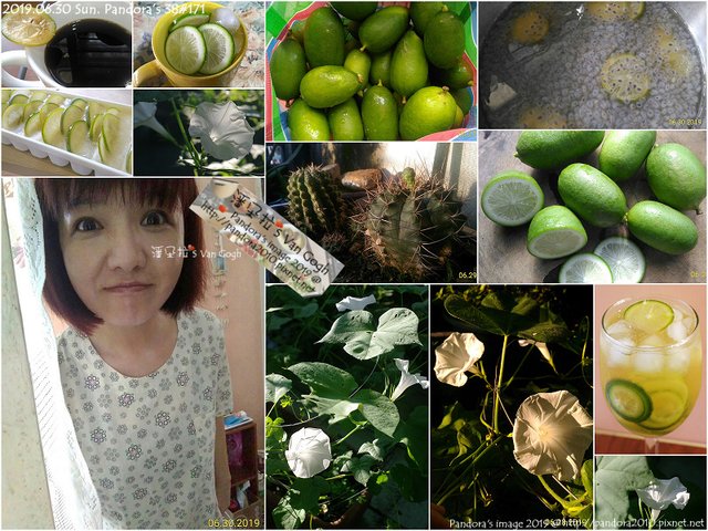 2019.06.30-潘朵拉 Pandora&apos;s Van Gogh