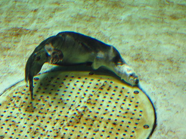 IMG_2808.JPG