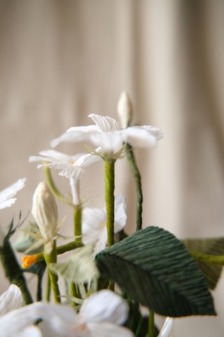 紙藝-小茉莉們