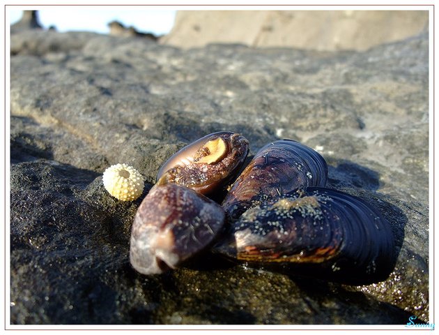 DSCF3154.JPG