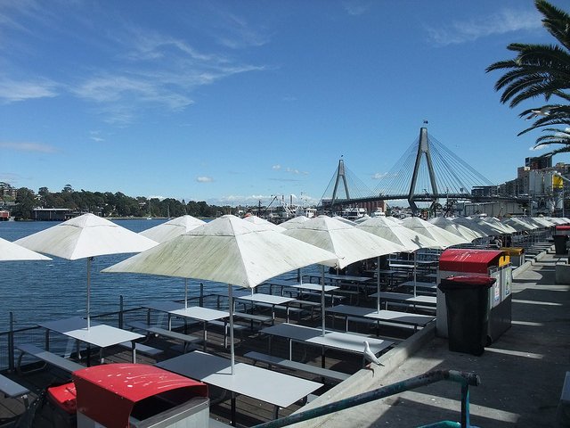 雪梨魚市場Sydney Fish Market