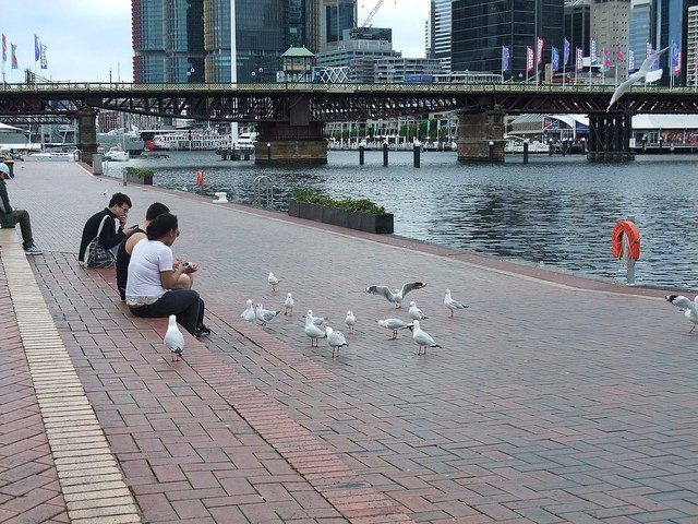 達令港Darling Harbour