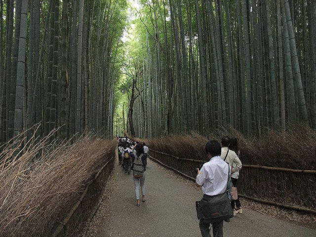 嵐山-竹林小徑