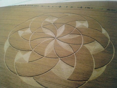 crop-circle-card-18