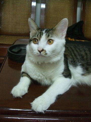 DSCF6546.JPG