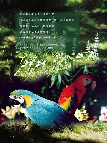C-BIRDS-EB-S_頁面_110.jpg