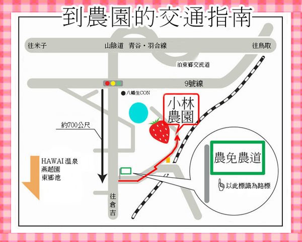 在浪漫的櫻花季節品嚐香濃甜蜜的草莓滋味｜鳥取 湯梨濱町 小林