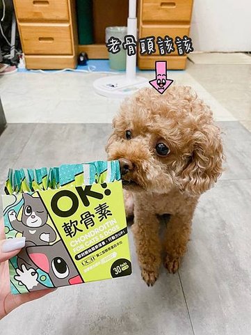 &lt;&lt;怪獸部落&gt;&gt; OK軟骨素體驗心得💗貓咪狗狗關節保養，中老
