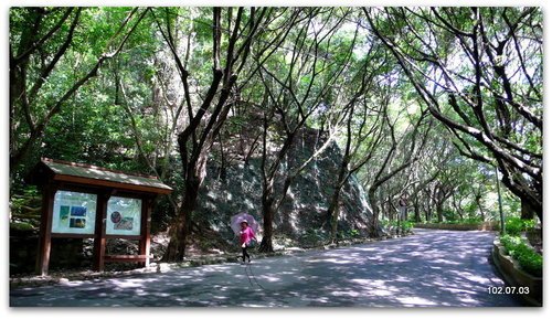 新北新莊 青年公園