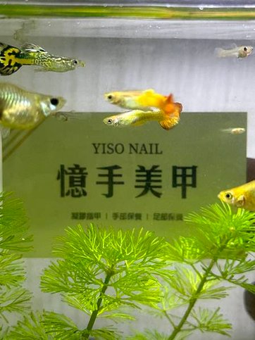 AnyConv.com__魚缸家名片.jpg