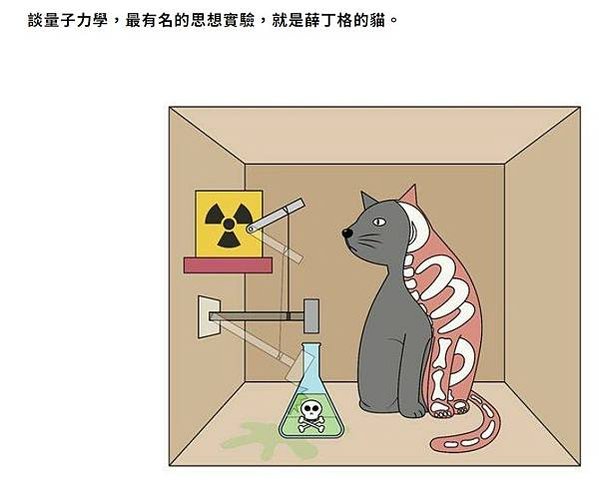 研討量子力學詮釋問題時，薛丁格貓也時常會被提出-薛丁格貓T恤