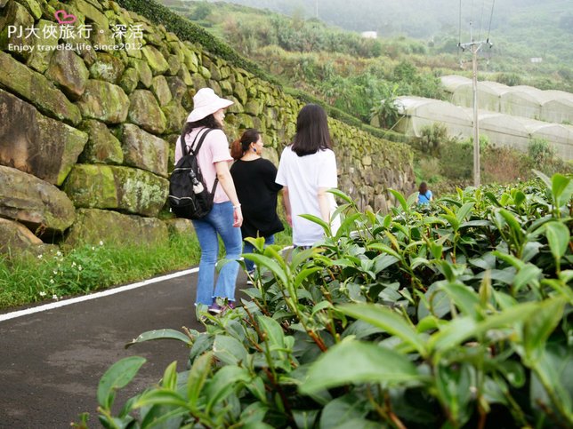 PJ大俠嘉義旅遊阿里山景點樂野來吉山豬部落