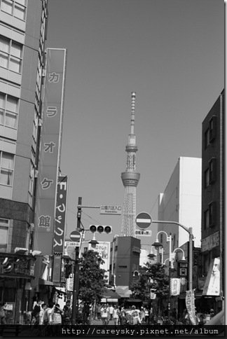 DPP_1649