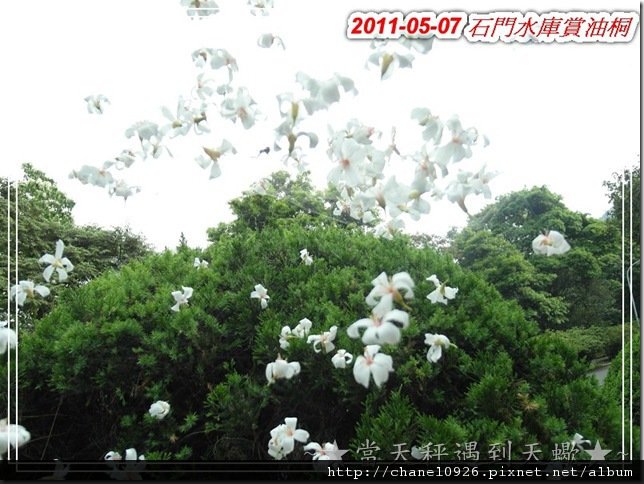 SAM_0531