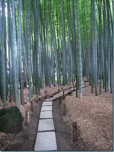 報國寺又稱竹之寺