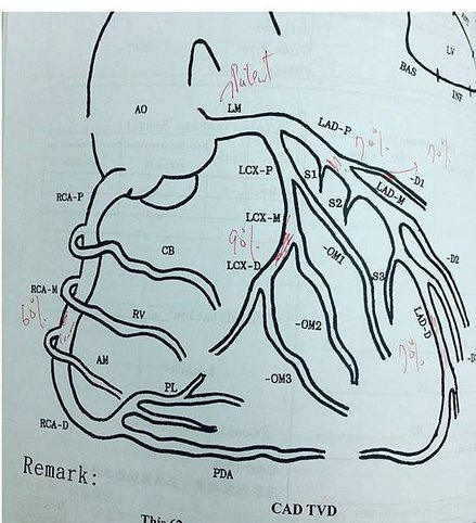 圖片1.jpg