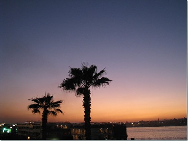 Luxor Museum (7)