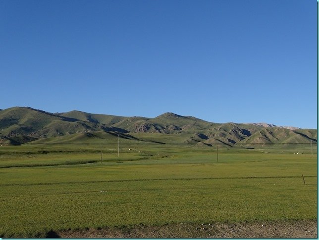DSC05596