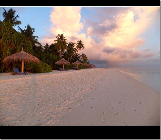 Robinson_35