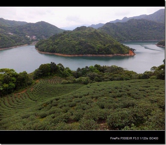 石碇茶園千島湖_23