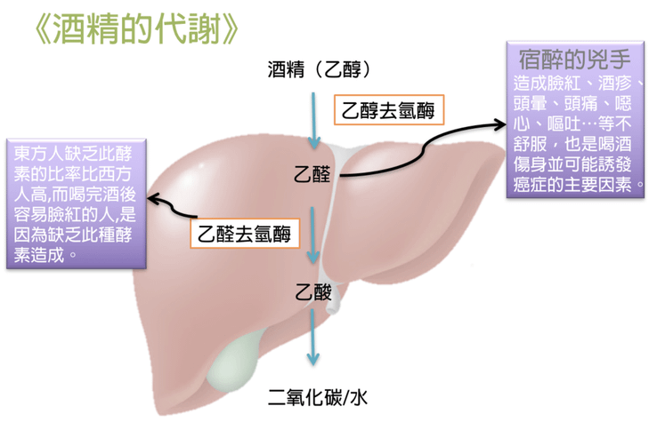 螢幕快照 2020-11-08 下午11.00.05.png