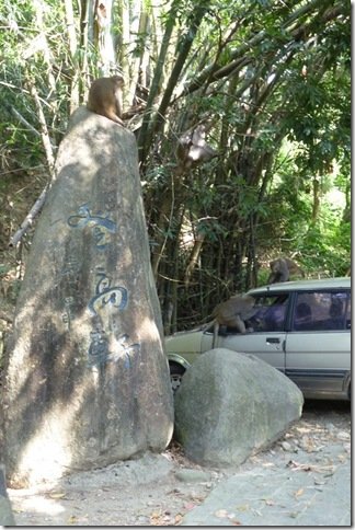 P1030386