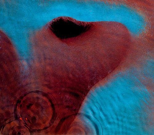 Pink Floyd 平克佛洛伊德--- Meddle -1