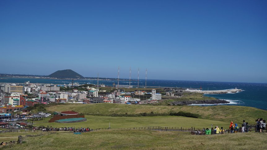 DSC03554