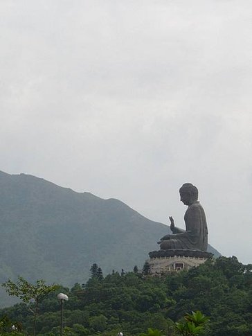 p125484817213.jpg