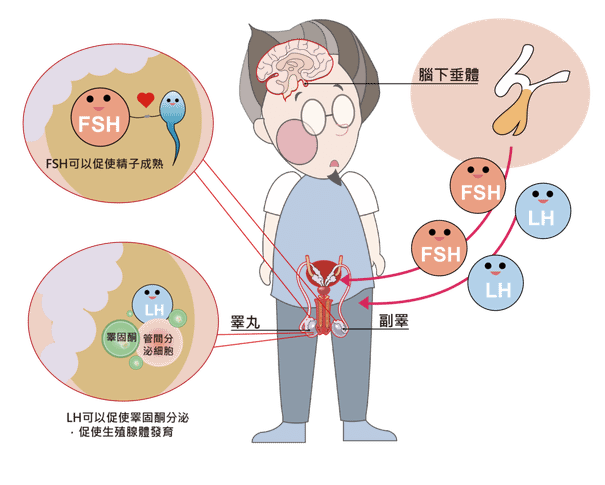 十月份部若格圖稿-02.png