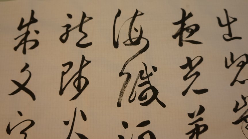 DSC08263.JPG