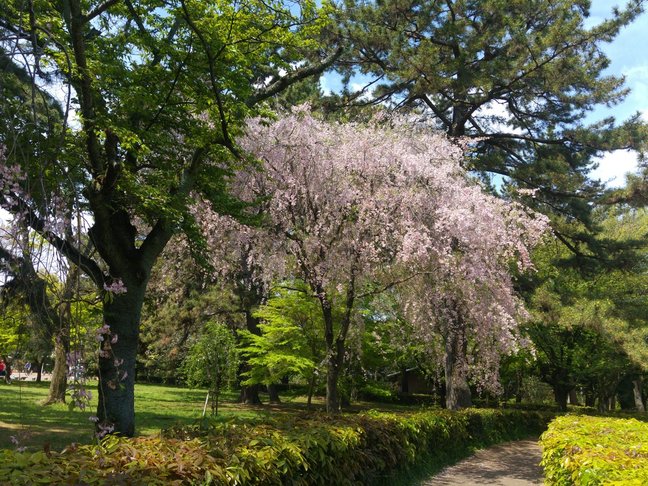 20170422_104222.jpg